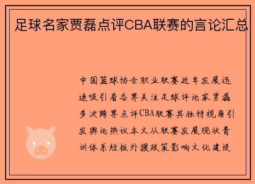 足球名家贾磊点评CBA联赛的言论汇总