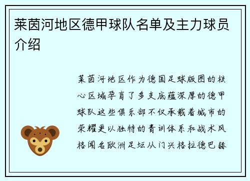 莱茵河地区德甲球队名单及主力球员介绍
